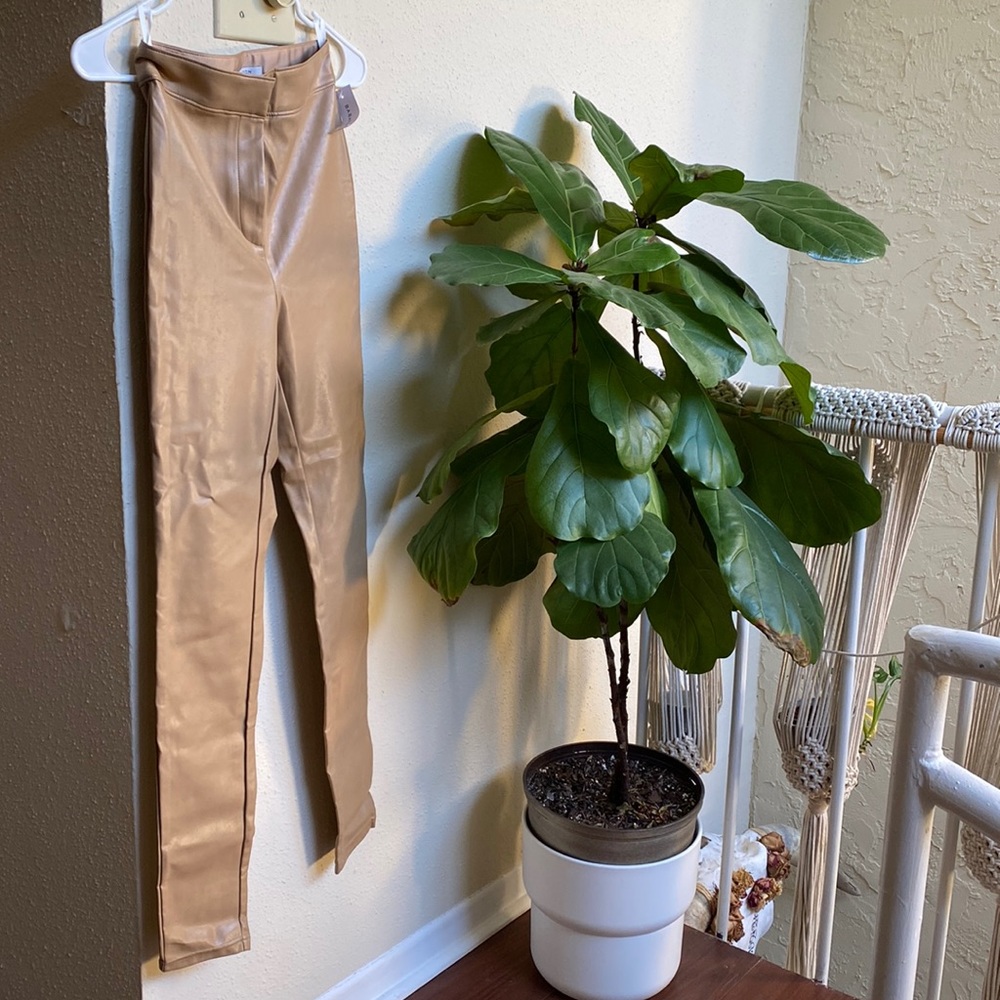 Babaton pant for sale